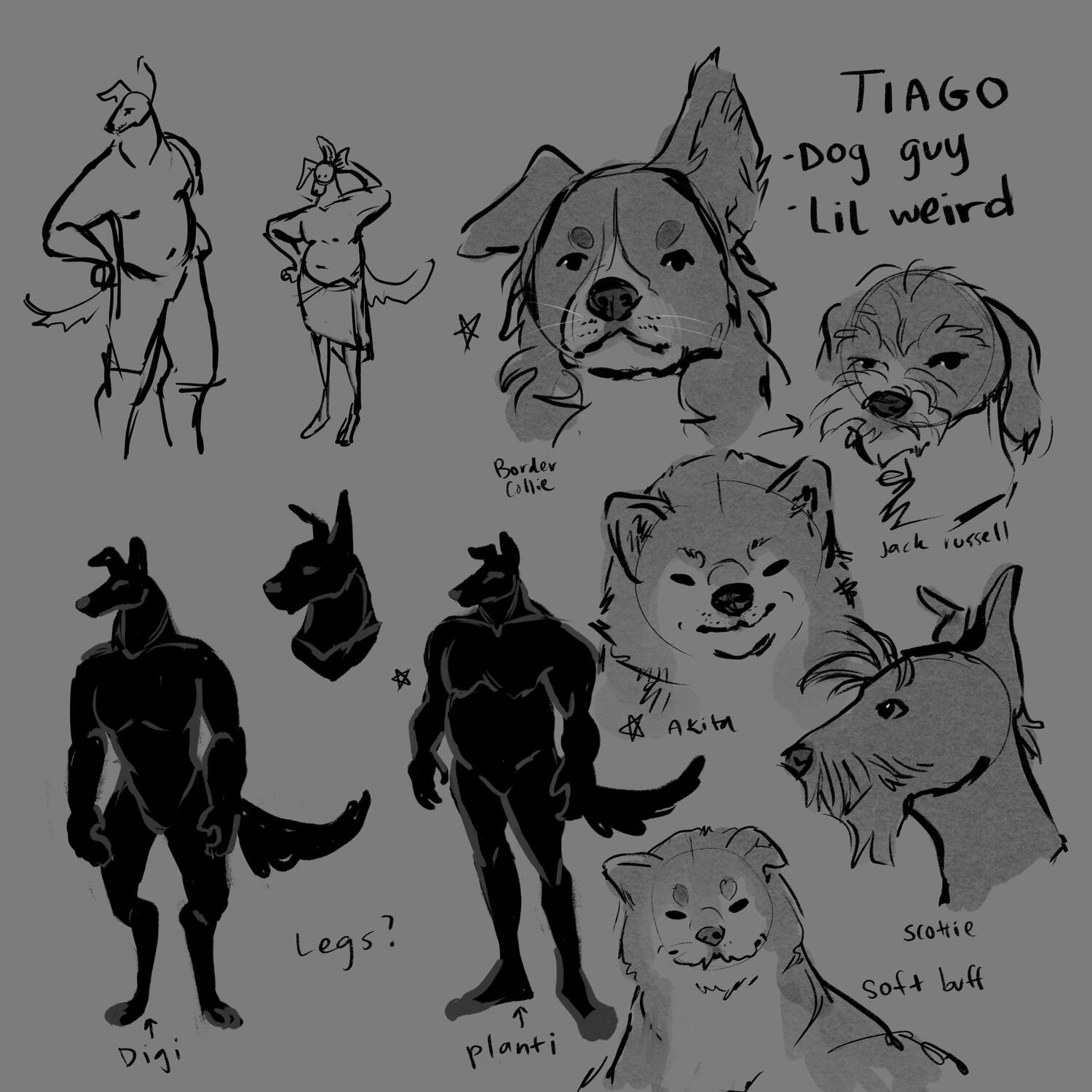 tiago concepts